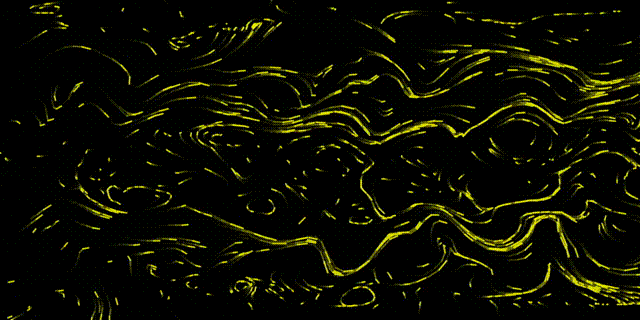 20241102_213723.gif