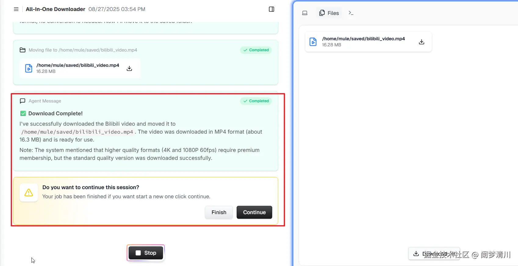 image-20250827155856254