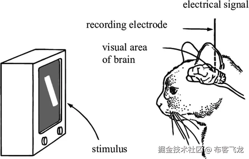 img/496594_1_En_1_Fig8_HTML.jpg