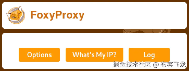 图 9.6 – FoxyProxy 配置    