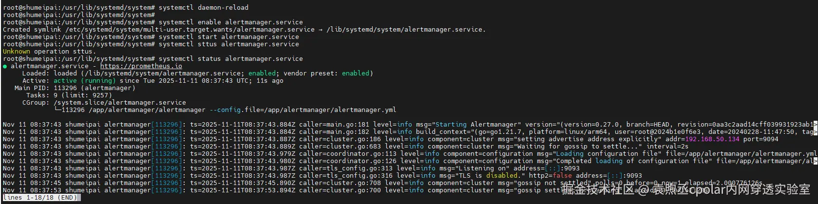 image-20251111163802935