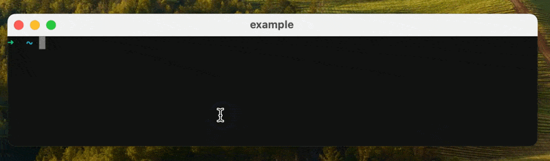 xterm.gif