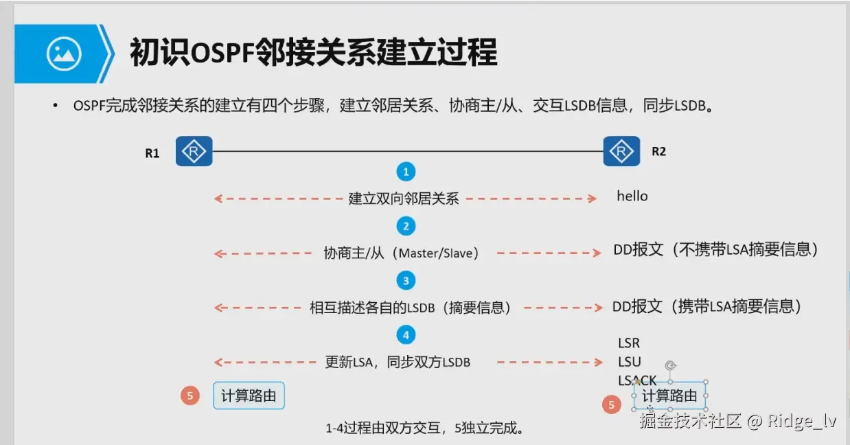 image-20240818141625502