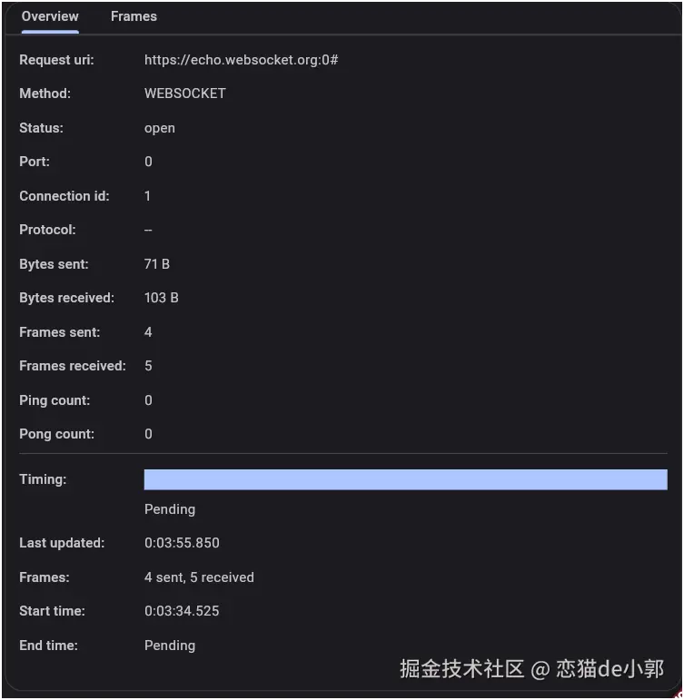 WebSocket Overview