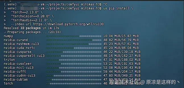 通过 PyTorch cu130 官方索引安装固定版本组件image.png