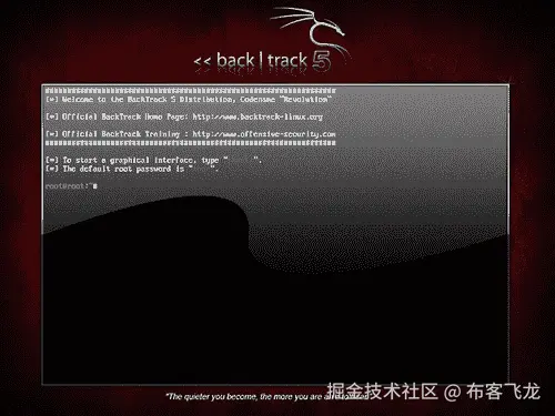 在虚拟磁盘映像上安装 BackTrack