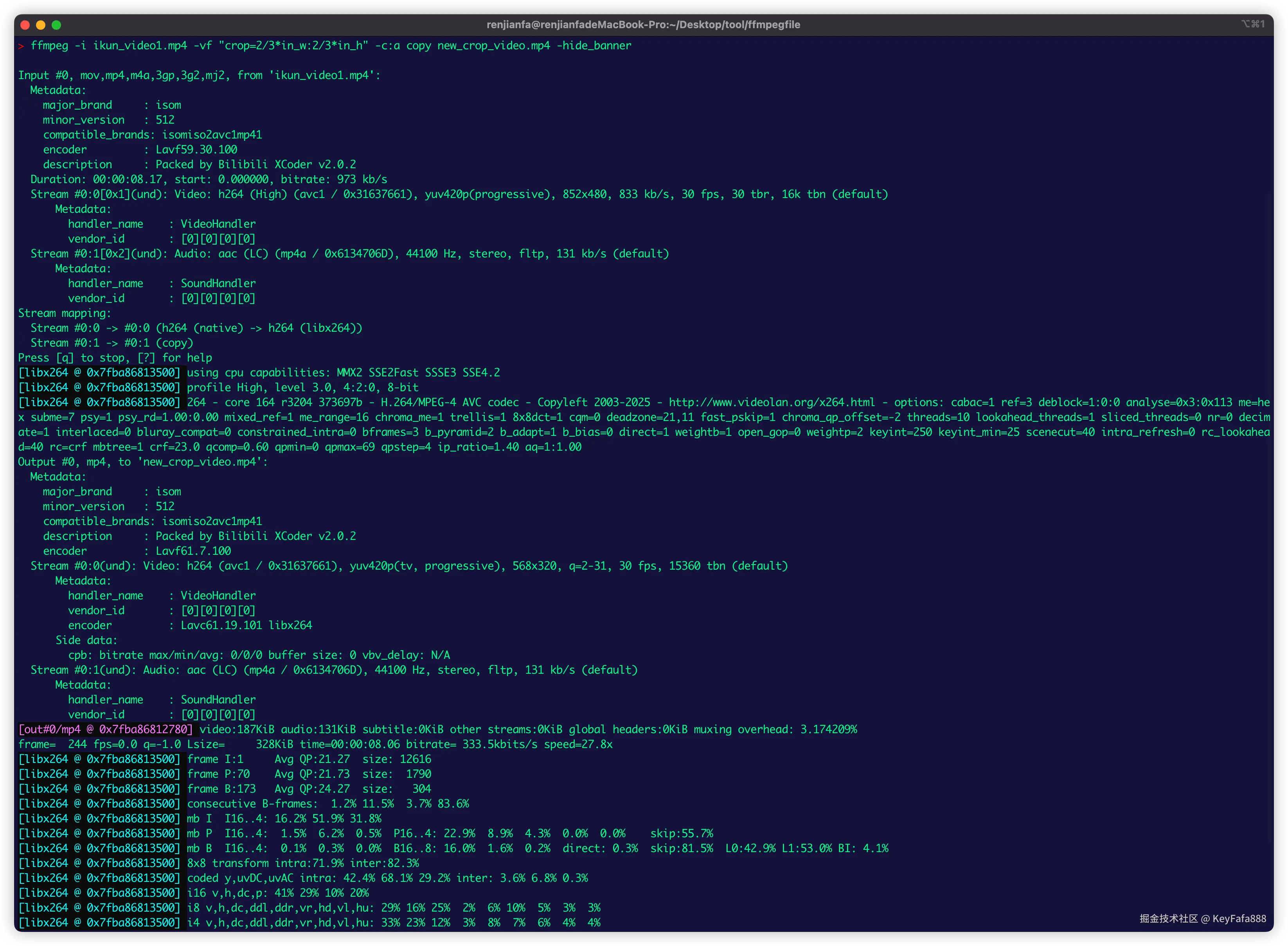 裁剪中心区域，大小为输入视频的 2/3