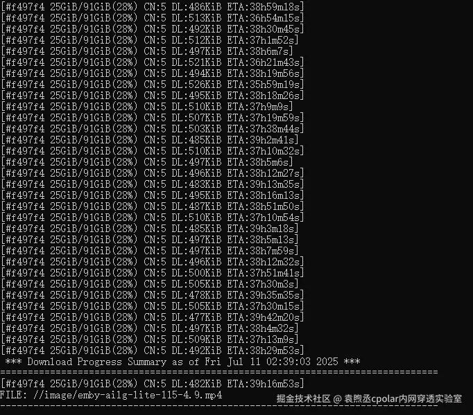 image-20250711104007467