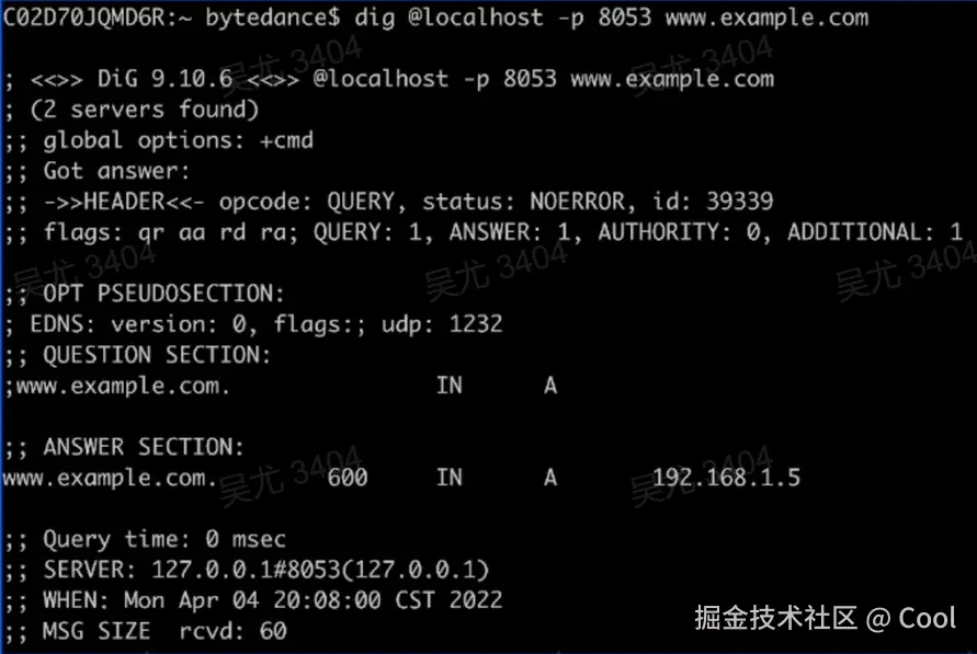 image-20220522092518120.png