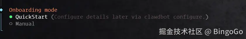 Clawedbot QuickStart 快速开始选项