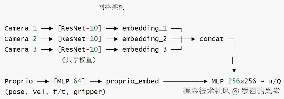 HIL-SERL-网络架构