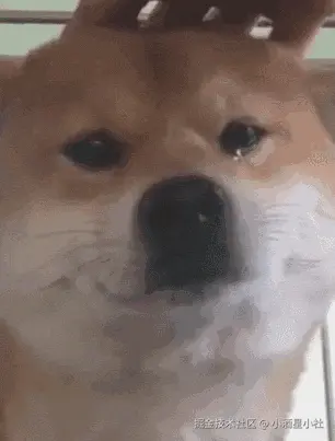 狗00012-为什么我的眼里常含泪水.gif