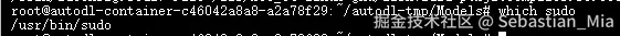 查看sudo目录.png
