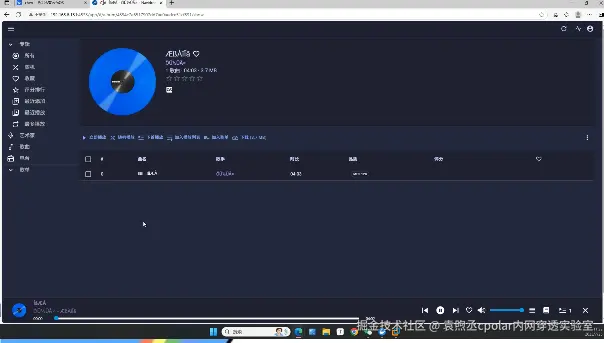 image-20250807171053816