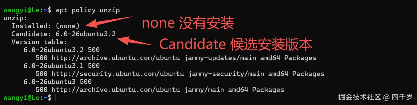 查看本机是否安装了 unzip 软件