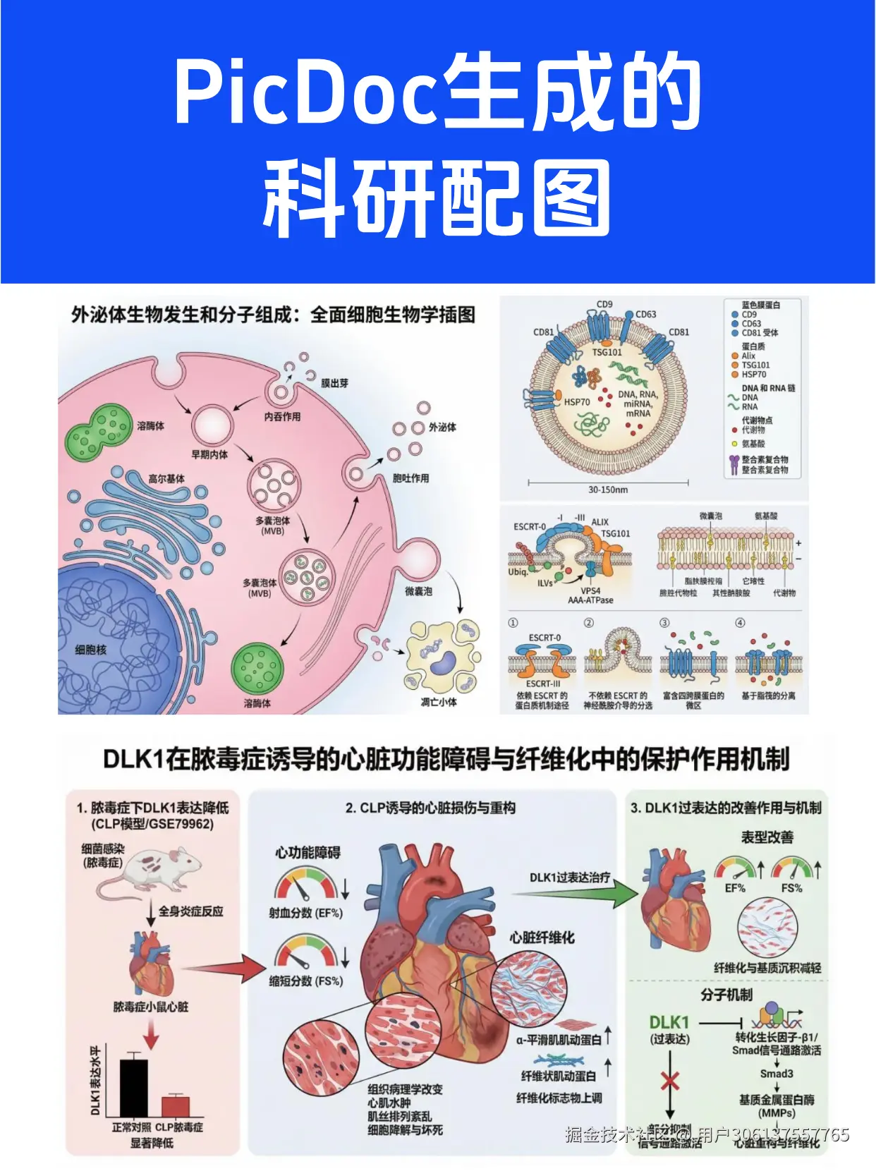 默认标题__2026-03-15+07_36_16.png