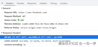 Facebook indicates Alt-Svc for its home page