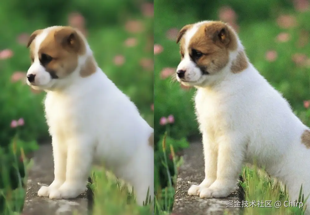 左图为 Surface Blur效果，右图为原图