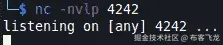 图 10.66 – 监听端口 4242