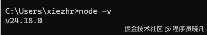 node version