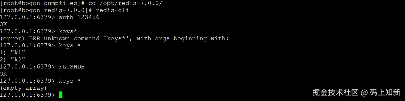 image-20240422231826946