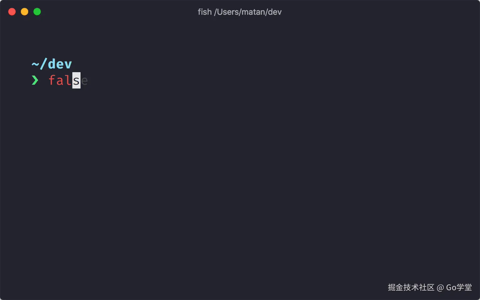starship-logo.gif