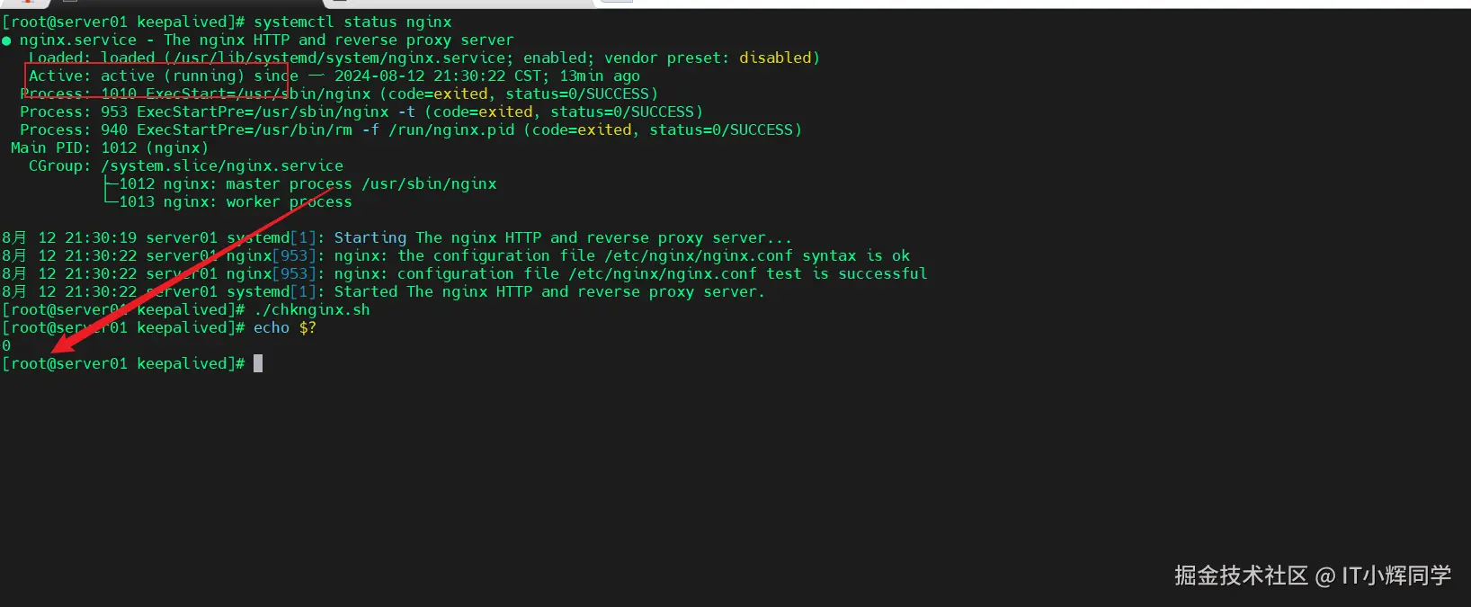 image-20240812214609781