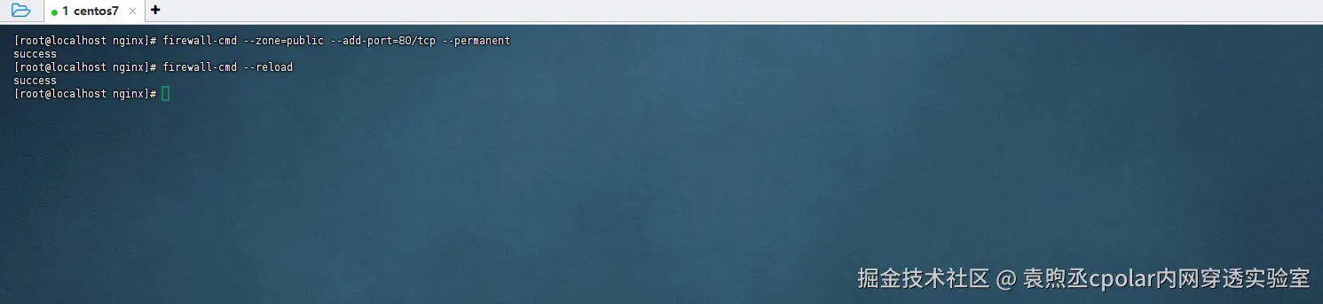 image-20250805170829183