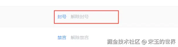 v auth 20240906223658496