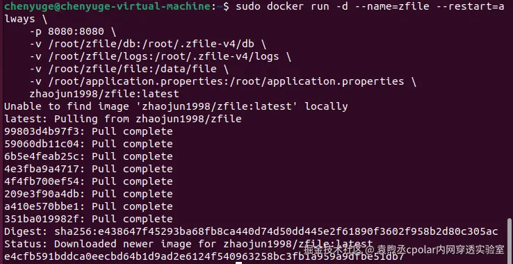 image-20241104170228782