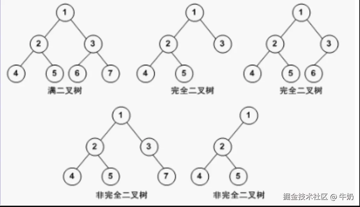 二叉树的图例