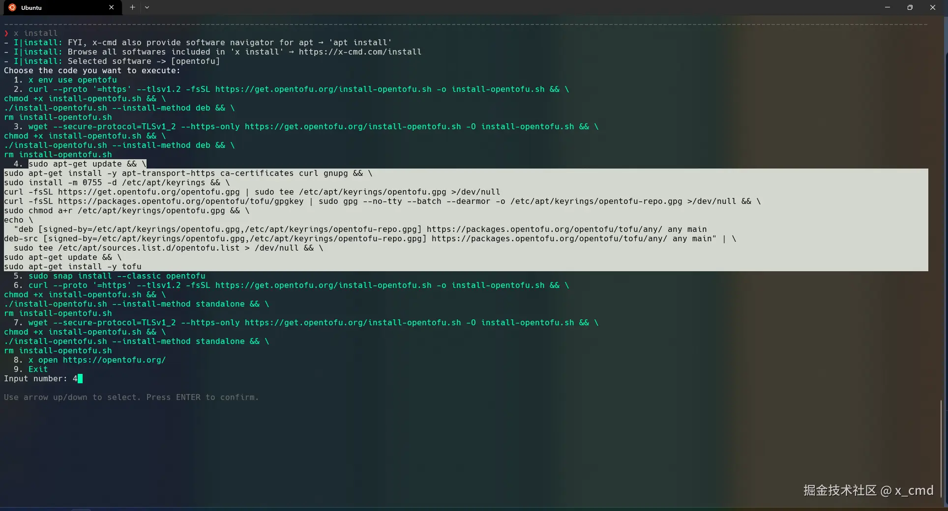 chose_install_style.png