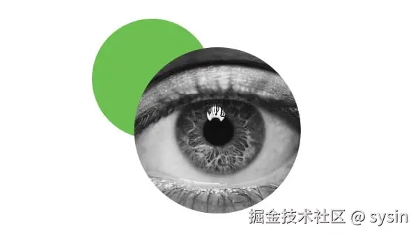 一致的策略和可视性