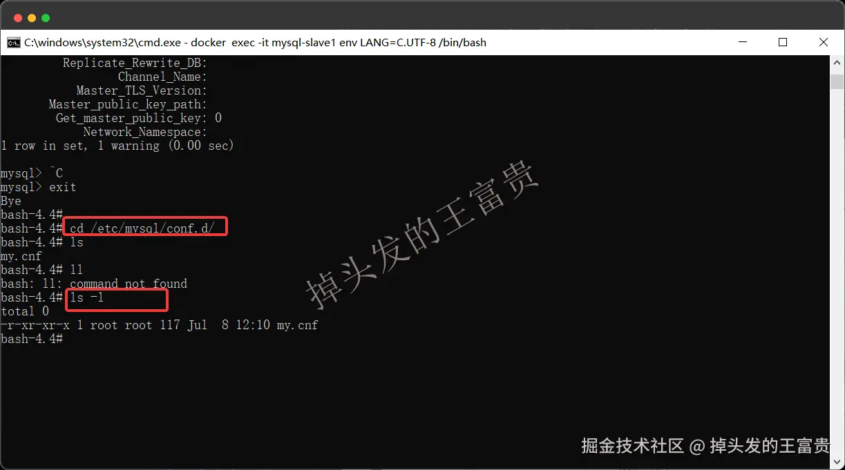 image-20250723195004309