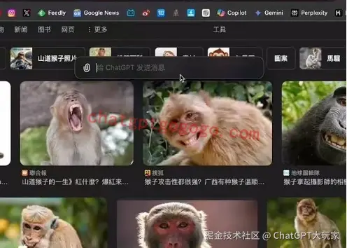 ChatGPT截图提问