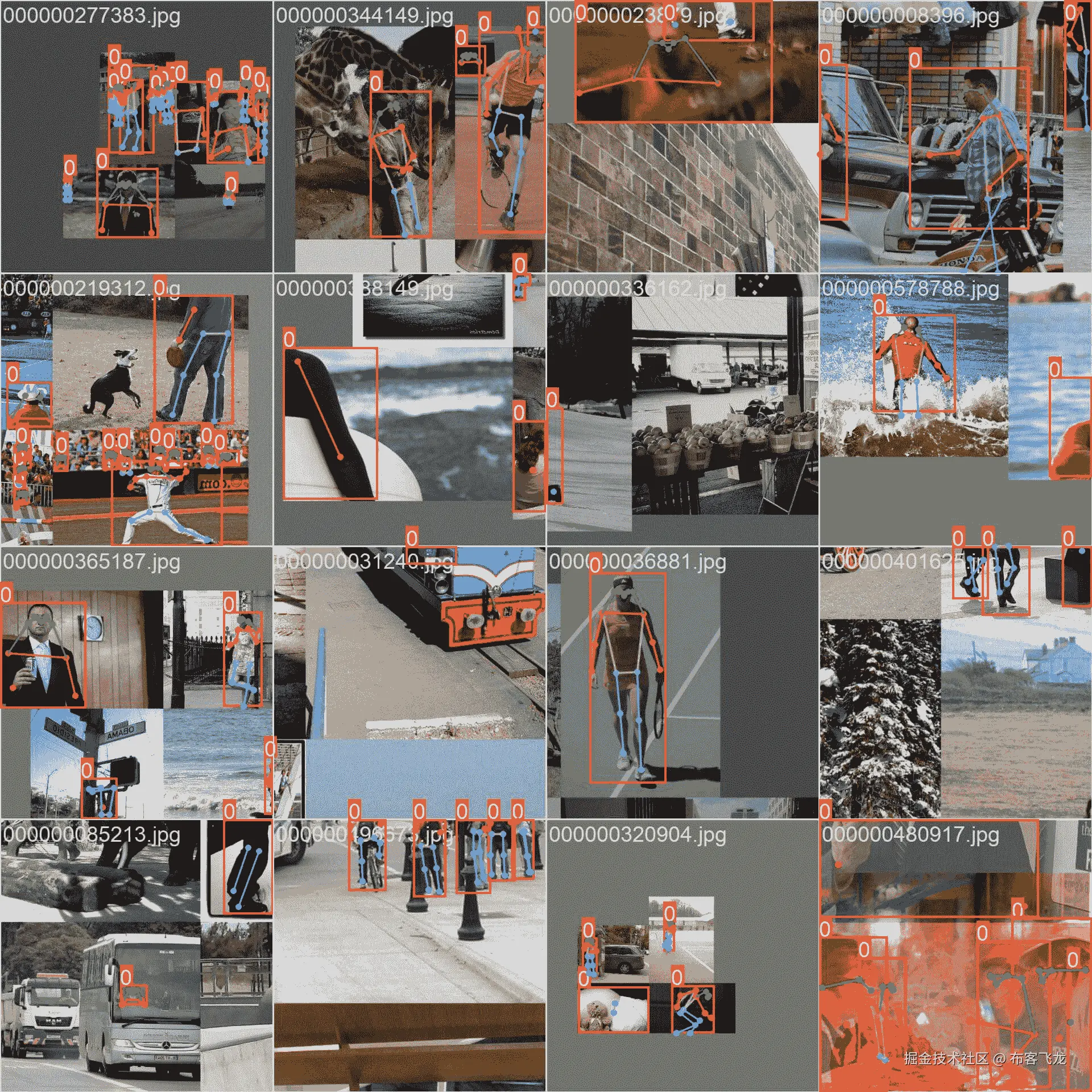 数据集示例图像