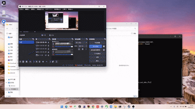 2025-03-03 23-29-55.gif