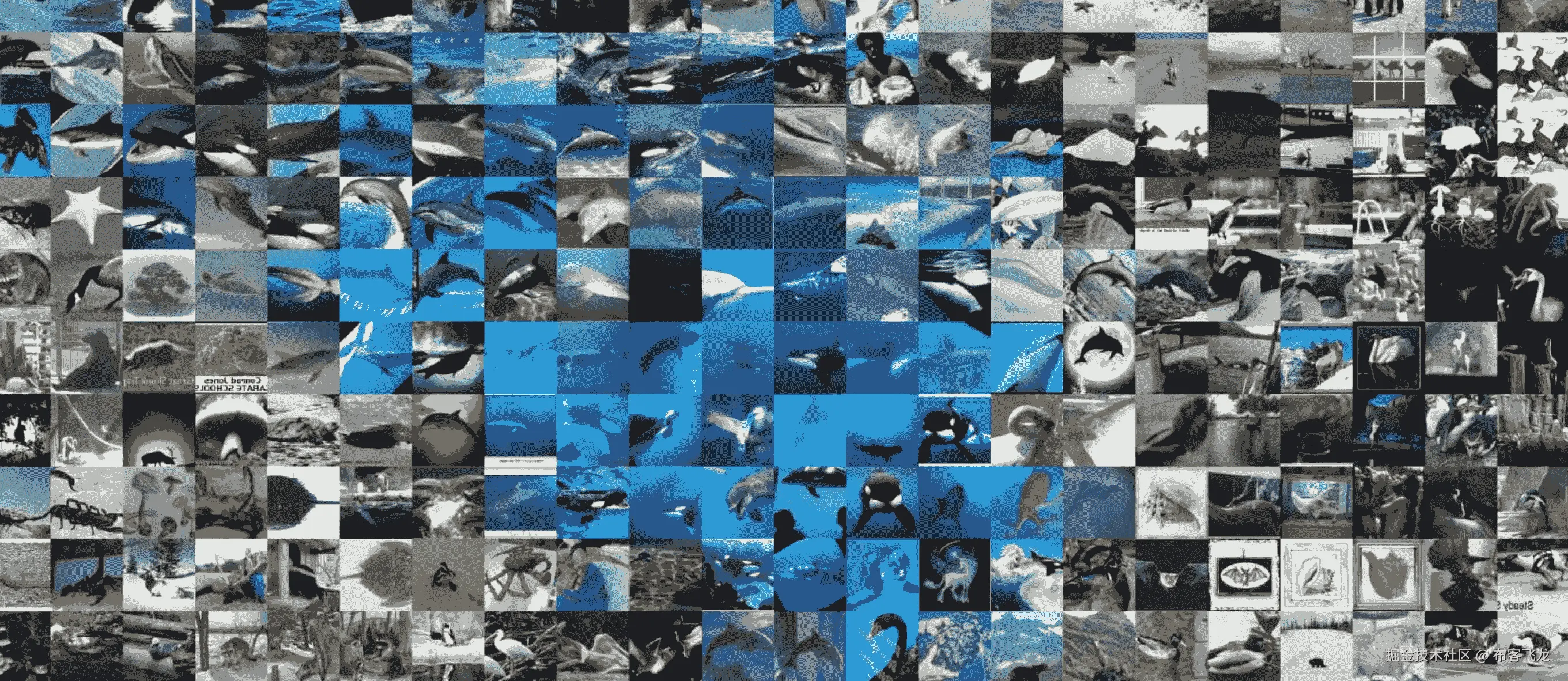 数据集示例图像