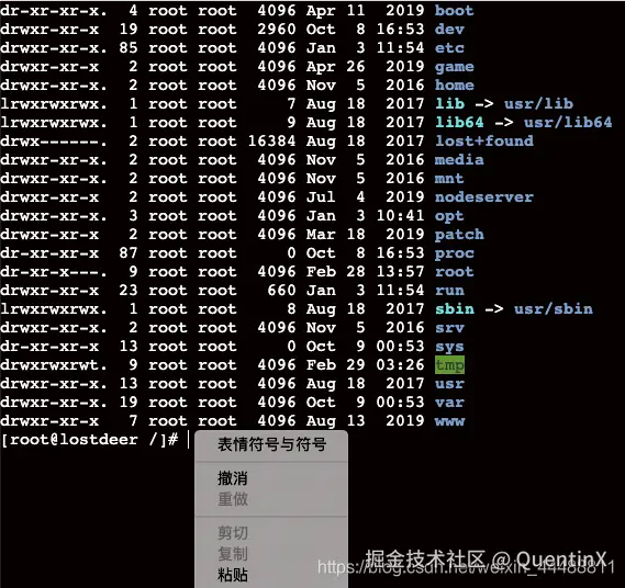 xterm.js