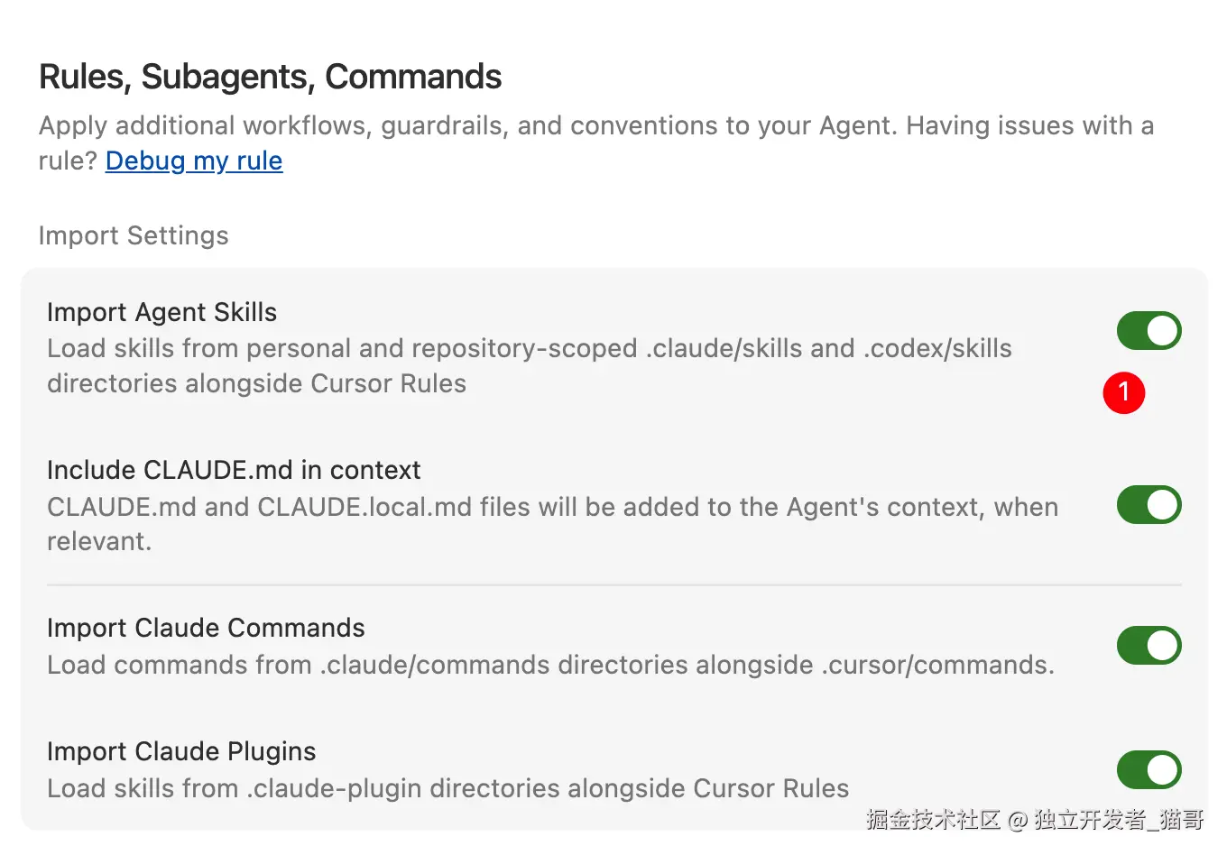 开启 Import Agent Skills