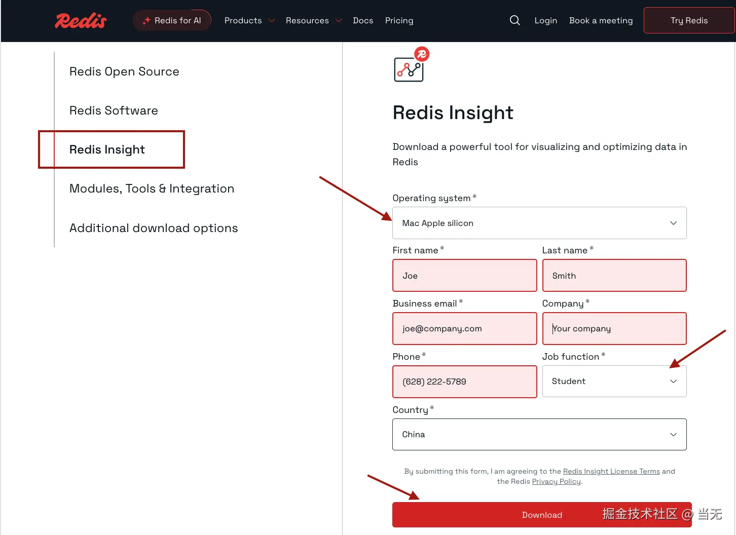 redis-insigth2.png