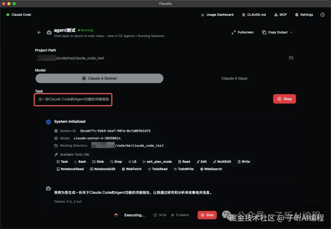 Agent运行详情