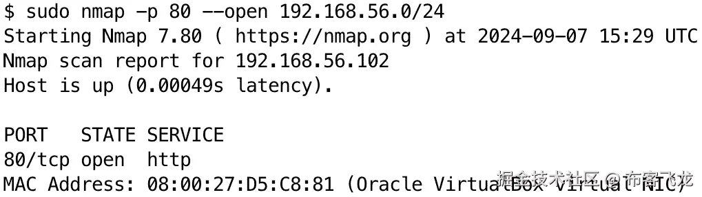 图 11.4 – 扫描网络以定位 HTTP 服务器