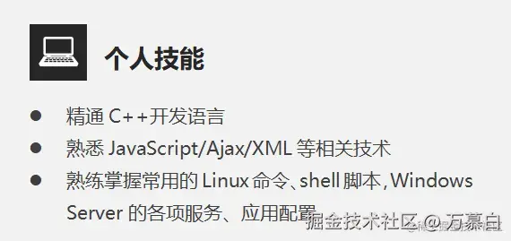 专业技能示例3