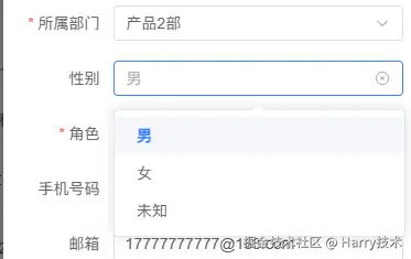 image-20241230211345303