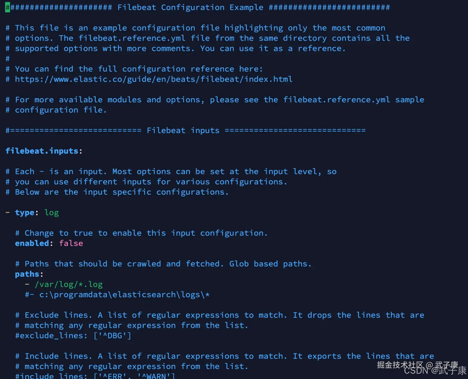 FileBeat 配置文件