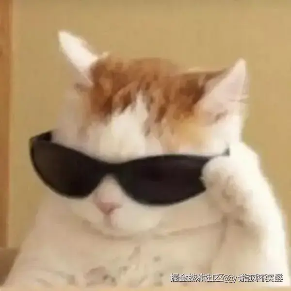 帅气小猫.webp
