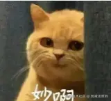 屏幕截图 2024-12-27 155121.png