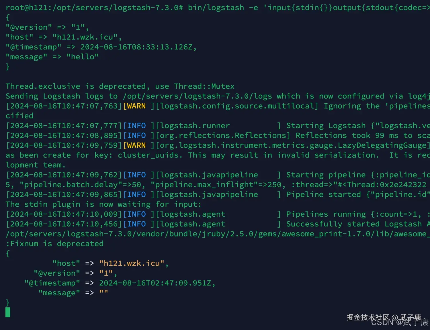 Logstash Input 插件
